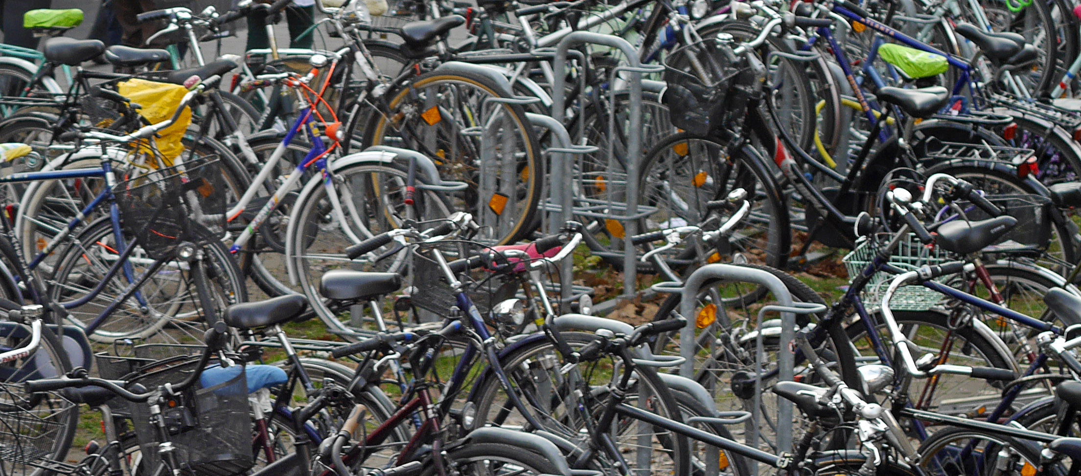 In Münster gehören die Fahrräder zum Studium einfach dazu, wie sonst soll man die Institute erreichen, die über die ganze Stadt verteilt sind?