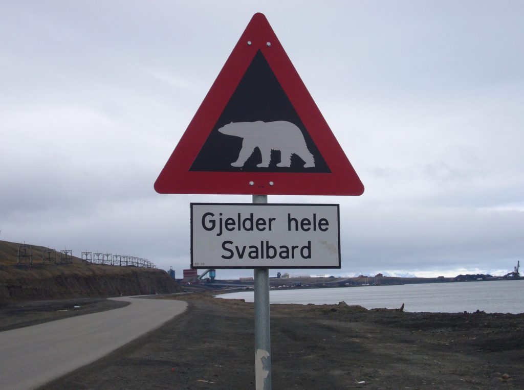 Schild: Warnung Eisbär