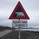 Schild: Warnung Eisbär