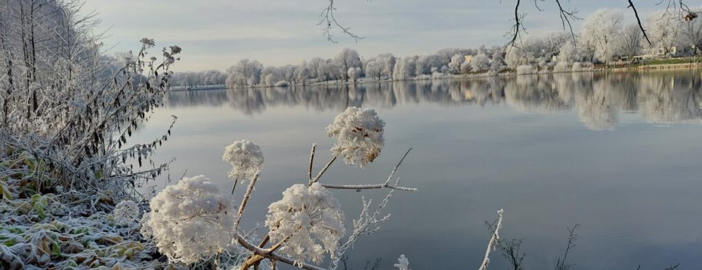 Aasee im Winter mit schneebedeckten Blumen