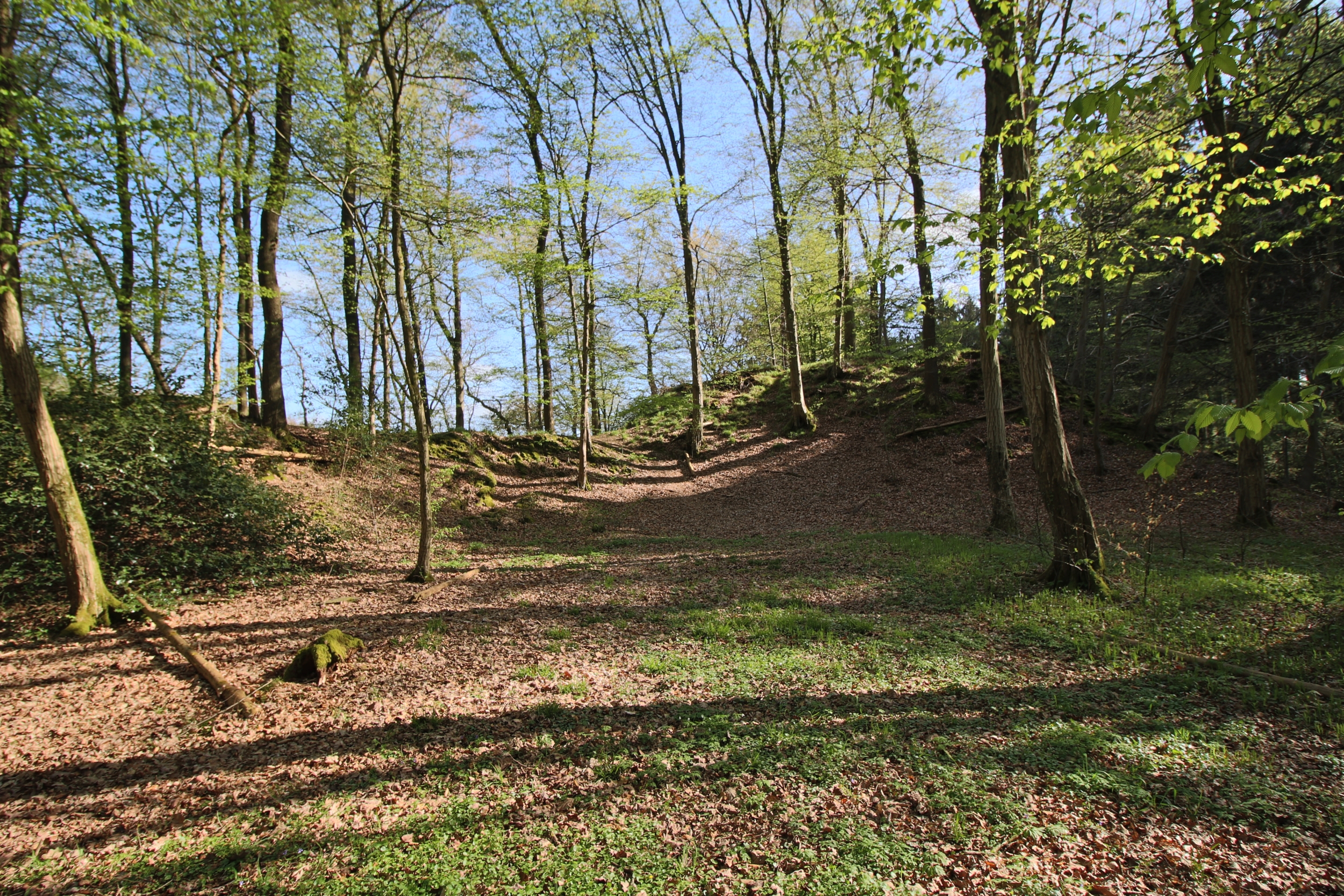 Burg Berge