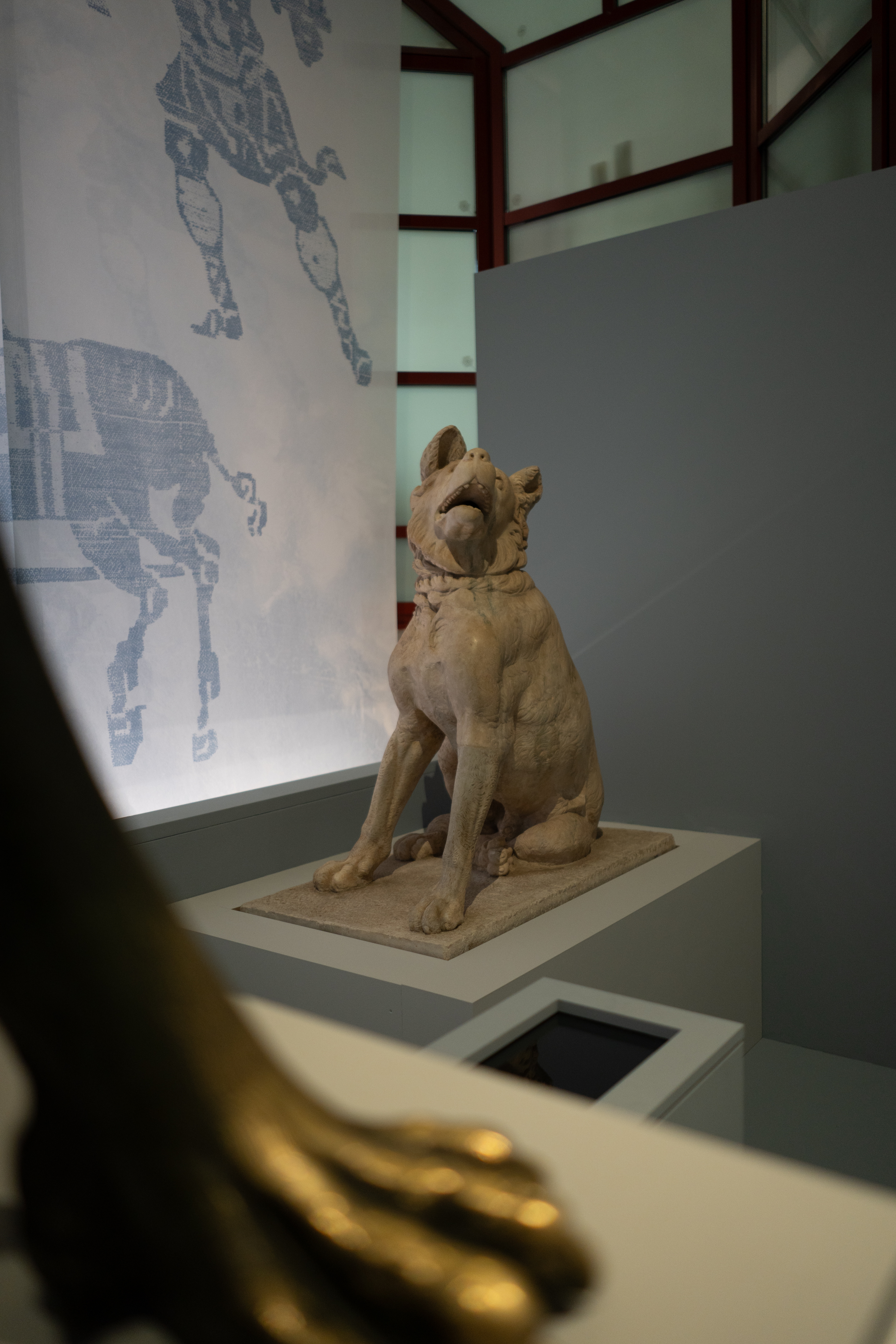Hund 1. Jahrhundert n. Chr., seit dem 16. Jahrhundert bekannt,
aus der römischen Sammlung von Francesco Fusconi AKA Der Hund aus Rom - Foto M. Janowsky